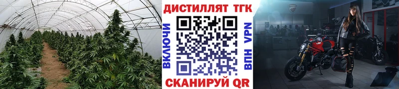 Дистиллят ТГК жижа Сольвычегодск