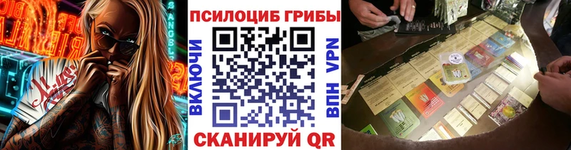 Псилоцибиновые грибы мицелий Сольвычегодск